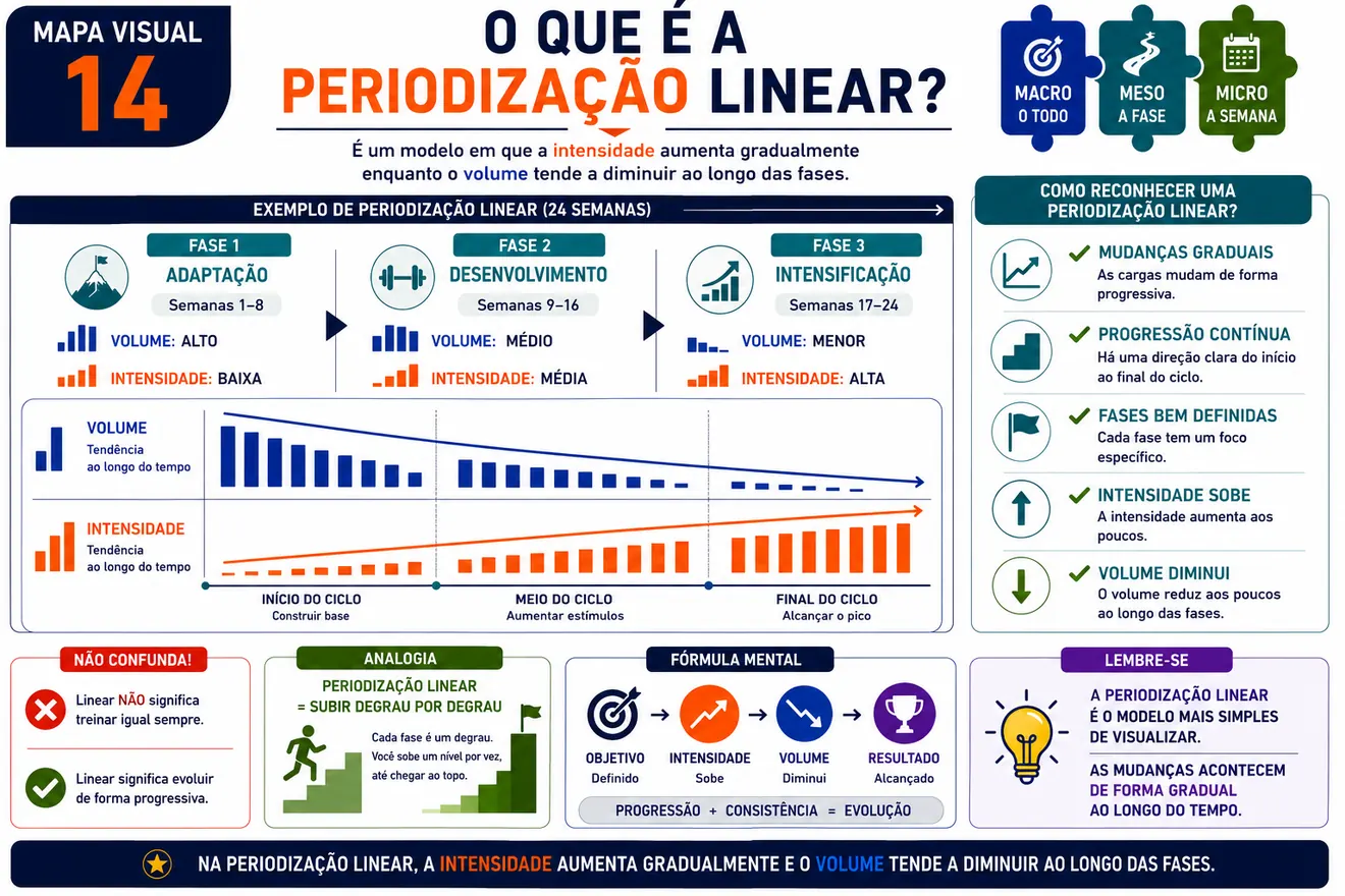 Mapa visual 14 explicando periodizacao linear
