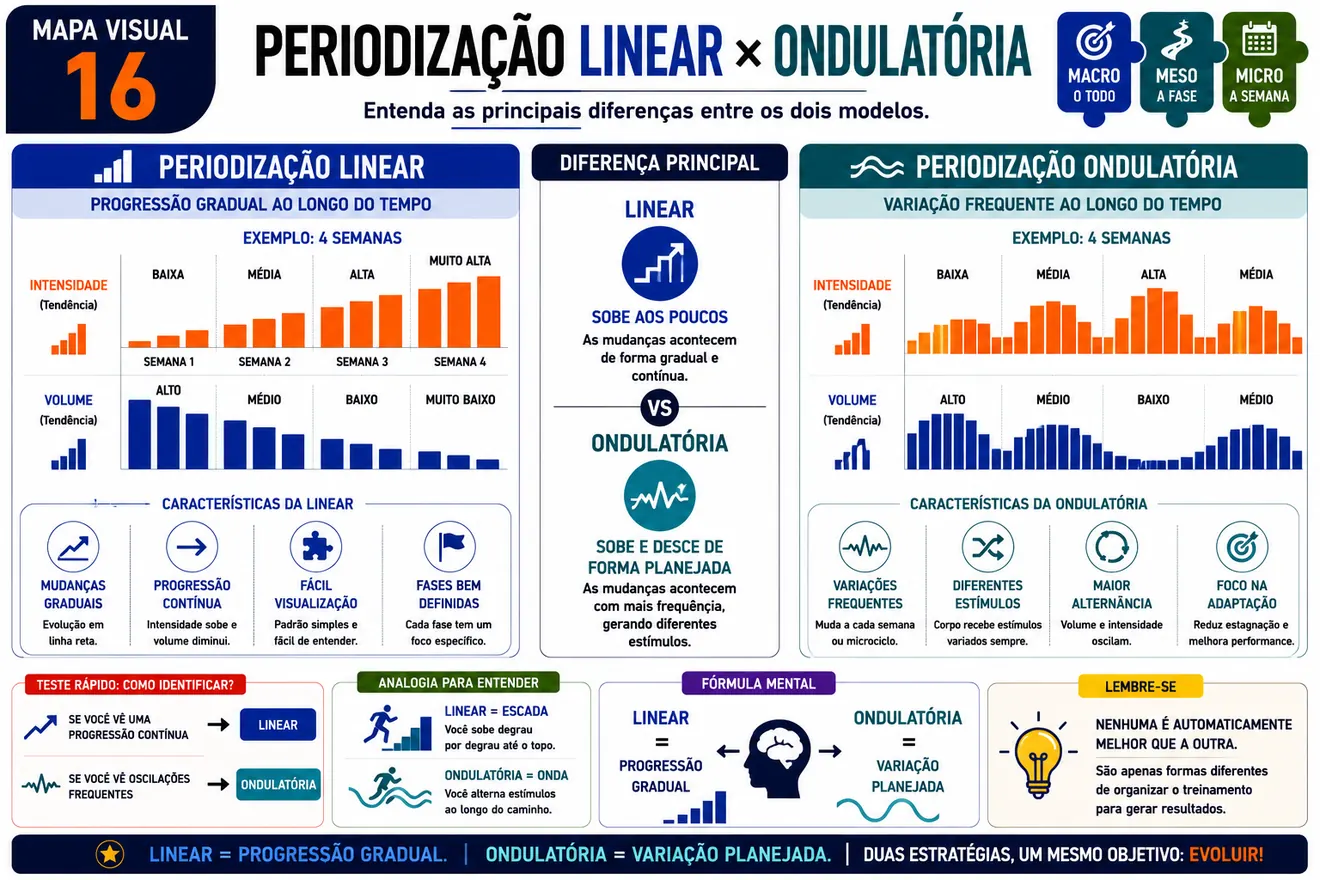 Mapa visual 16 comparando periodizacao linear e ondulatoria